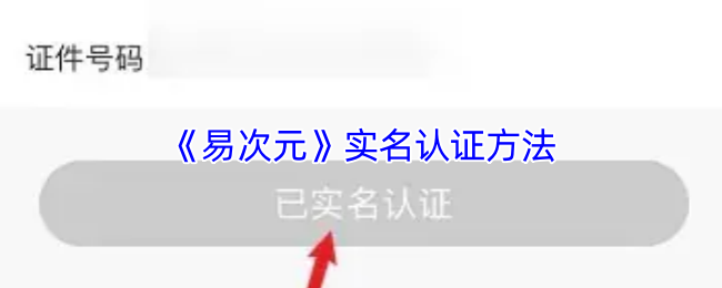 《易次元》优化实名认证流程的全面指南