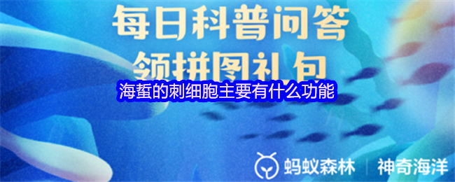 《支付宝》海蜇刺细胞的主要功能解析
