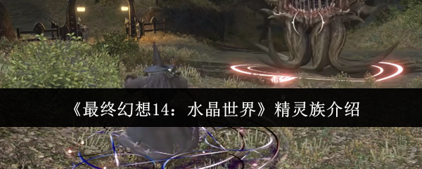 《最终幻想14：水晶世界》精灵族深度解析与玩法指南