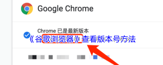 《谷歌浏览器》查看游戏版本号的实用技巧