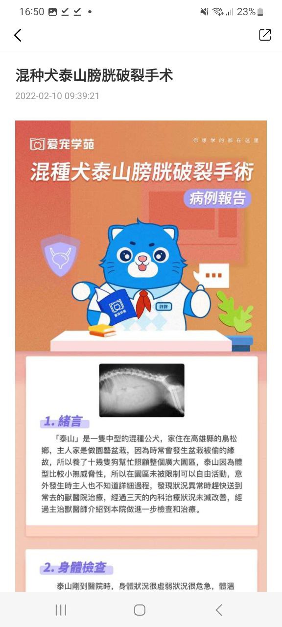 爱宠采购下载安装